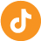 Orange TikTok Icon