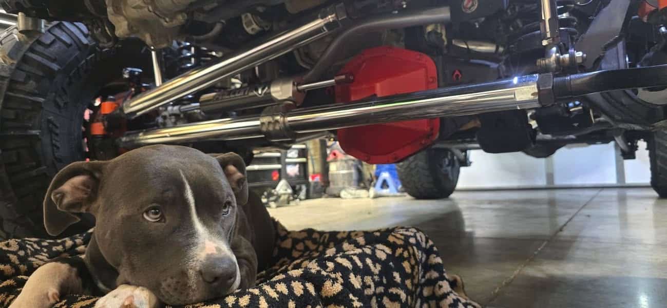 Clarksville Jeep Crew in Clarksville, Tennessee