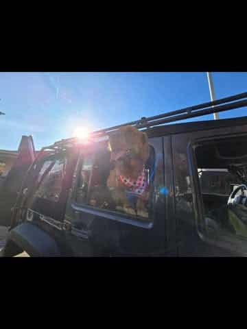 JBLM Chapter Military Jeepers in Tacoma, Washington