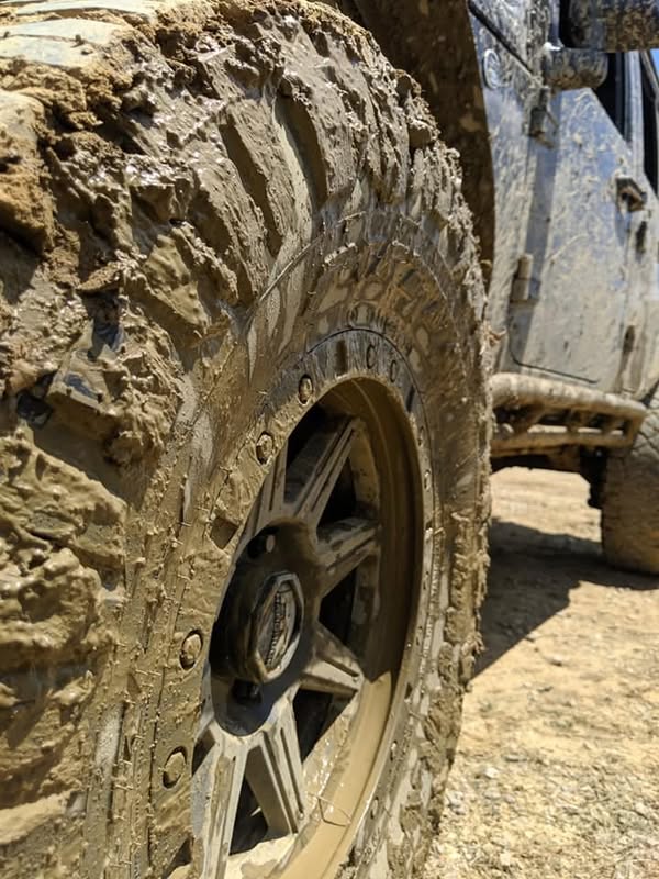 We The Jeeple in Lexington, Kentucky